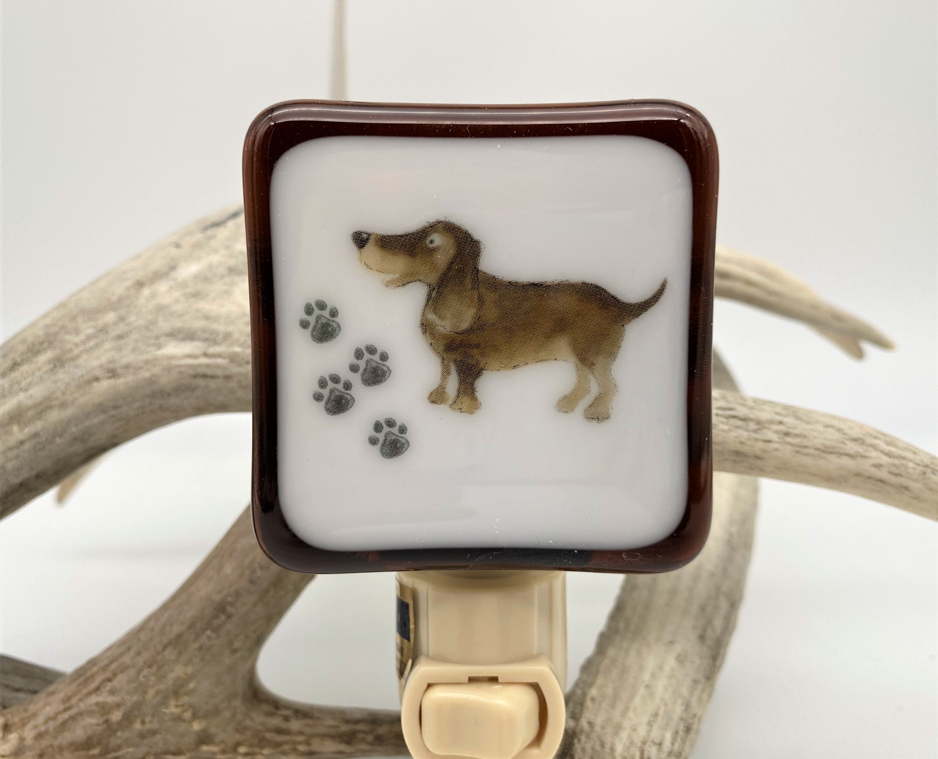 dachshund night light