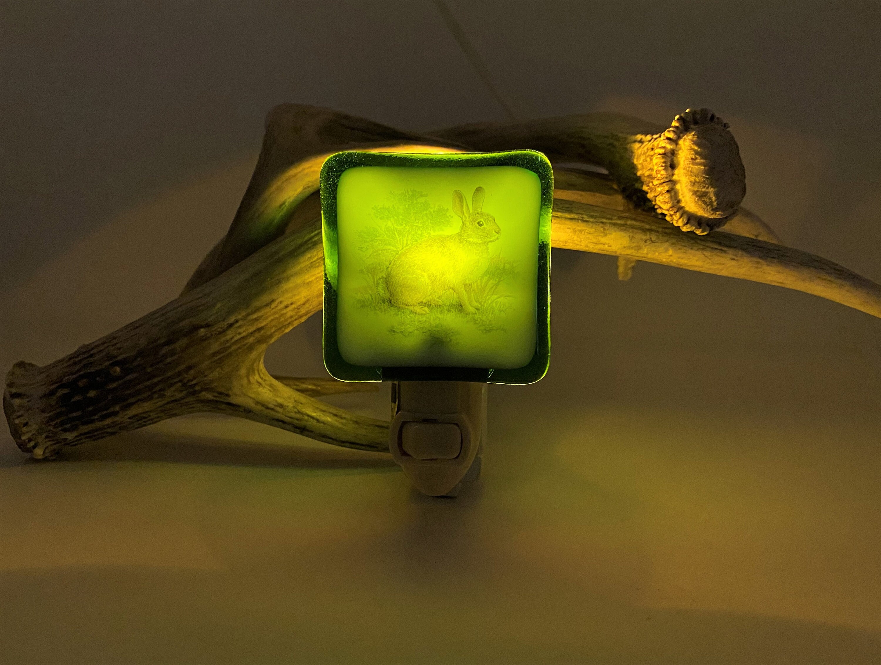 Rabbit Night Light Wall Plug In Bunny Pet Backyard Farm Hunting