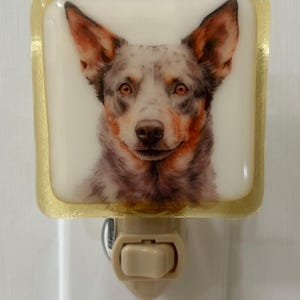 Blue Red Heeler night light wall plug in, family pet, canine hunting, big ears, nursery, house warming, beautiful all occasion gift.
