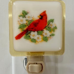 Cardinal Night light wall plug in, Song bird, backyard, bird watcher, house warming gift, thank you gift, holiday