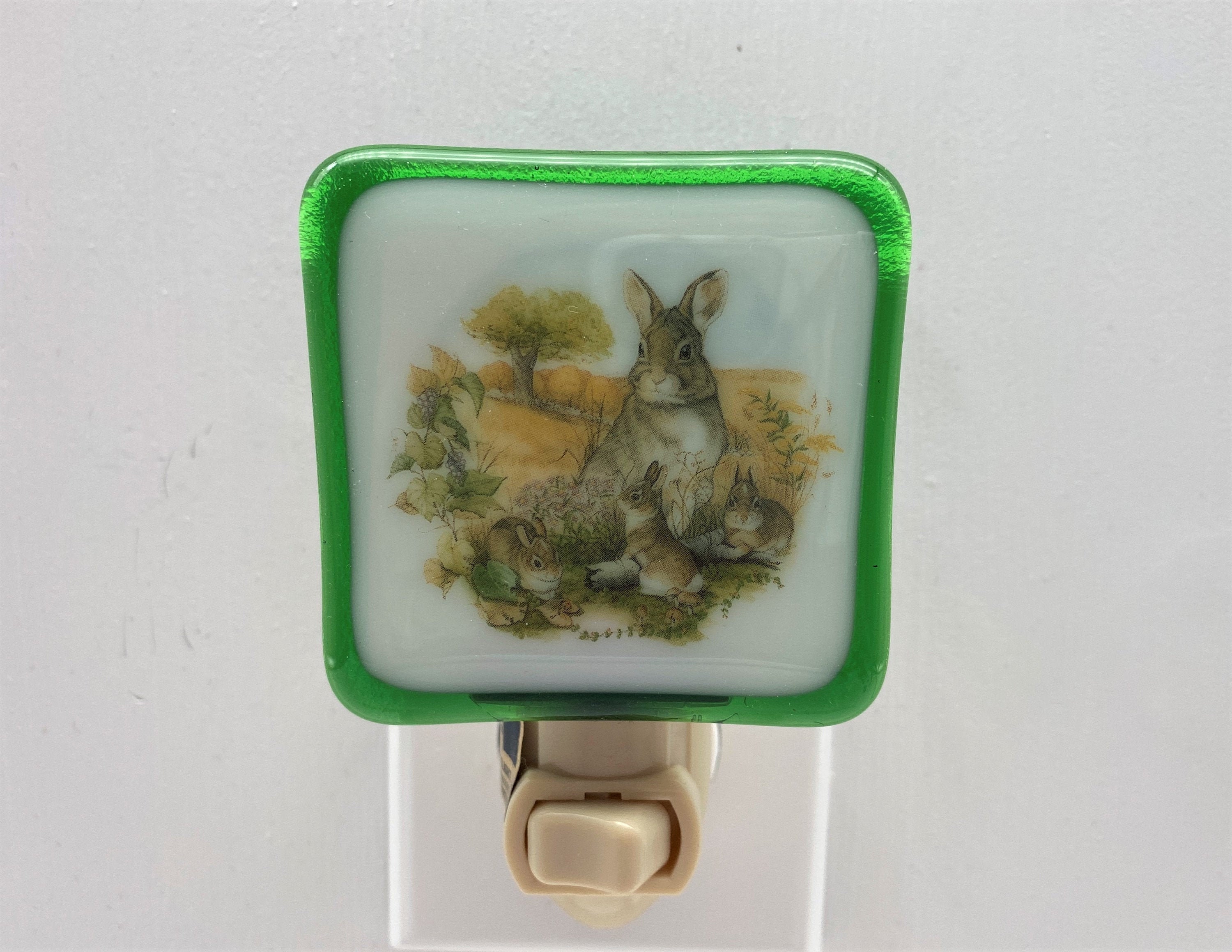 Rabbit Night Light Wall Plug In Bunny Pet Backyard Farm Etsy