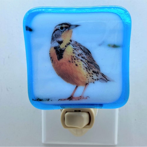 Veilleuse Murale Applique Murale Rotative Pour Chambre à Coucher, Coque