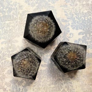Dandelion in resin magnets