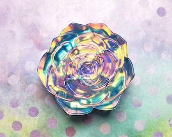 Succulent phone grip