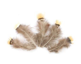 10 x small 7-8cm (76) dark brown pheasant feather