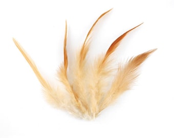 x 10 natural 13 to 16cm (68F) beige Brown pheasant feather