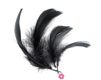 x20 Plumes d'oie noir  4 à 10 cm (61F)