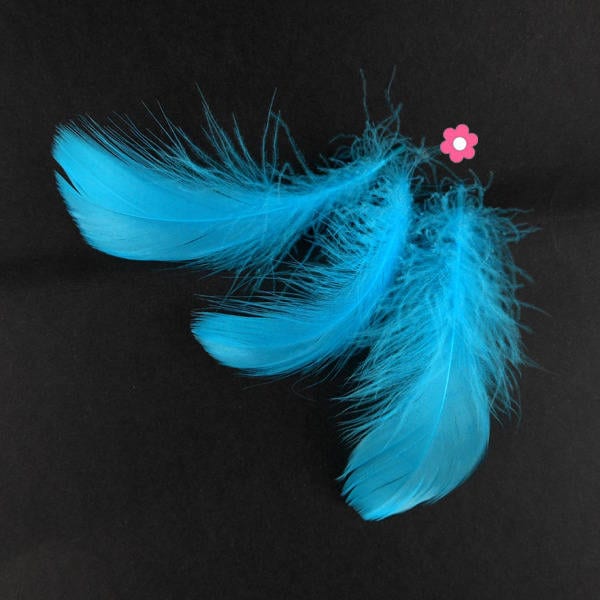 x20 Plumes d'oie bleu turquoise 4 à 10cm (62F)