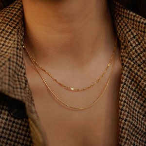 Gold filled double layered dapped bar and snake necklace set.