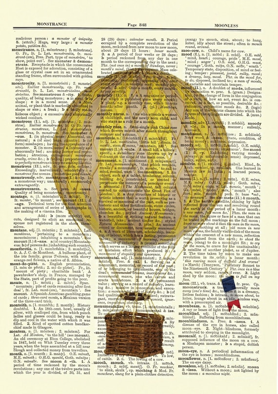 WEDDING PRESENT Poison Idea vintage Dictionary page Personalised First Dance