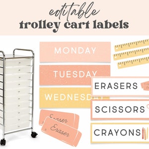 Teacher Rolling Trolley Cart Labels, Drawer Toolbox, Elementary Classroom Decor Organization, Boho Pastel Rainbow, Pre- K, Kindergarten