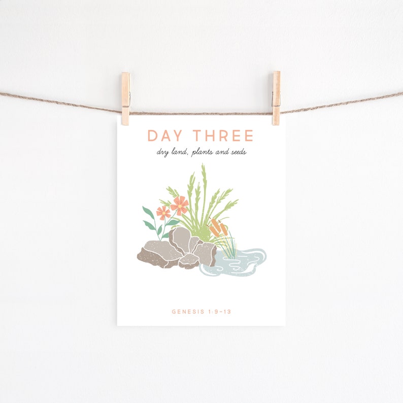 May include: Day Three of Creation: dry land, plants and seeds. Illustrated with a green plant, a pond, rocks, and flowers. Genesis 1:9-13.