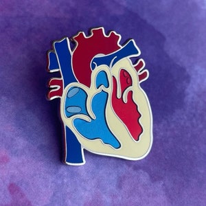 Anatomical Heart Pin