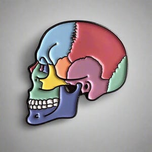 Textbook Anatomy Skull Enamel Pin- Medical Gift - Gift for Doctor - Gift for Nurse - enamel pin for medical professionals - anatomy