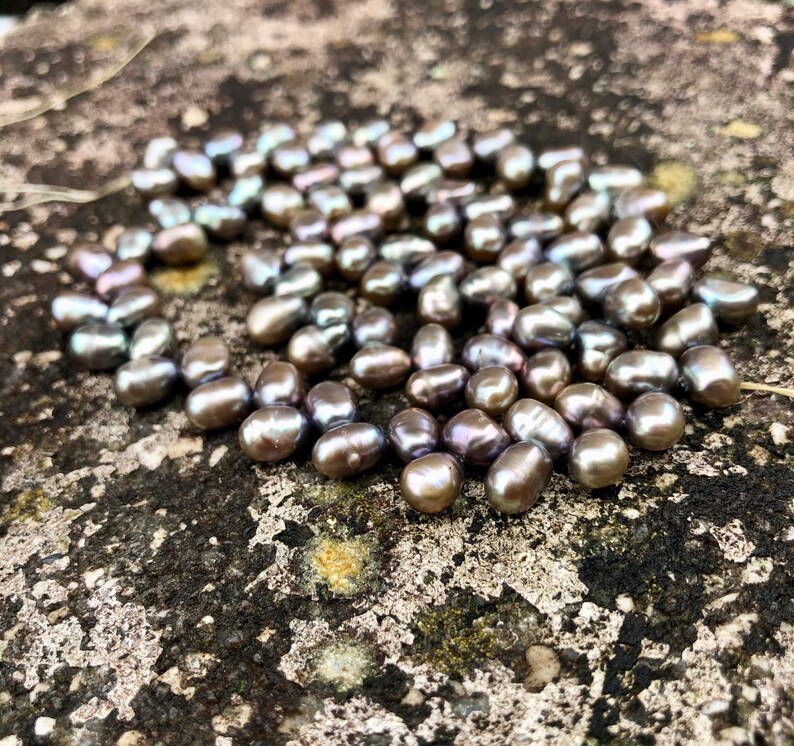 Gray pearls 8 x 6 mm 50 pcs / Pewter Gray Cultured Freshwater Etsy
