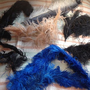 Beautiful antique Ostrich feathers