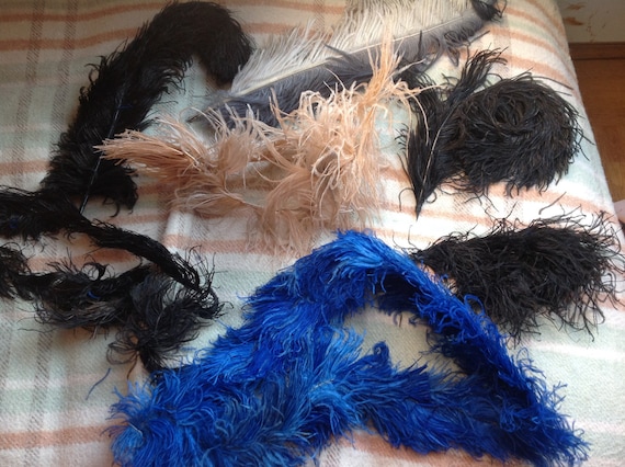 Beautiful antique Ostrich feathers