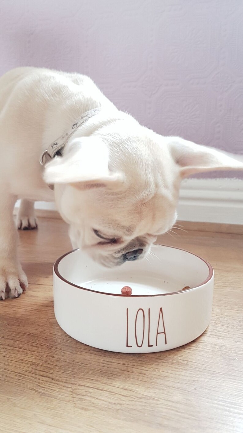 Small Dog Bowl Personalised Dog Bowl Ceramic Dog Bowl Etsy