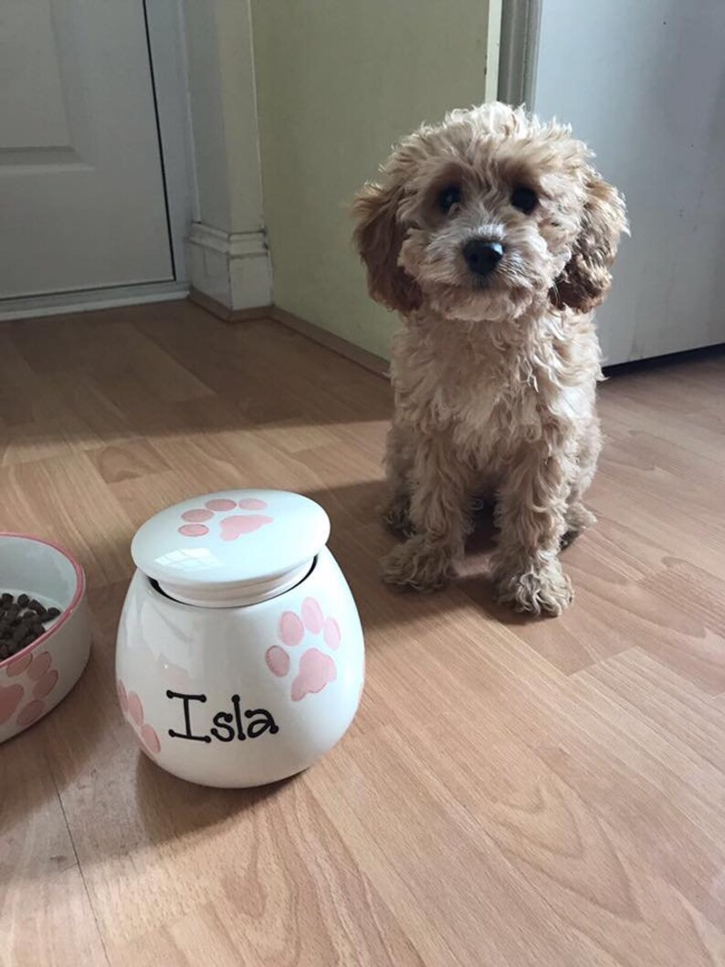 Small Pet Treat Jar Personalised Dog Treat Jar Personalised Etsy