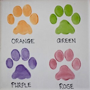 May include: Four paw prints painted in different colors: orange, green, purple, and rose. Each paw print has the color name written below it.