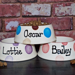 Small slanted bowl, dog bowl, ceramic dog bowl, cat bowl, personalised dog bowl, cat bowl with name, dog food bowl, custom dog bowl
