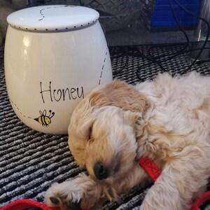 May include: A white ceramic jar with a lid, featuring the word Honey in black script, a small yellow and black bee illustration, and a dotted flight path line. The jar has a rounded shape and a smooth finish, with a black dotted rim on the lid.