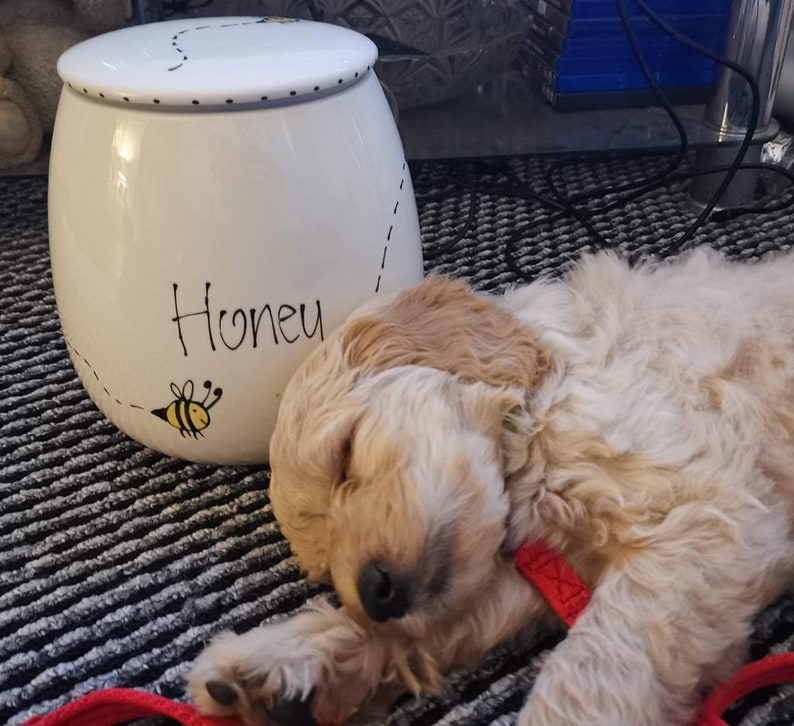 May include: A white ceramic jar with a lid, featuring the word Honey in black script, a small yellow and black bee illustration, and a dotted flight path line. The jar has a rounded shape and a smooth finish, with a black dotted rim on the lid.