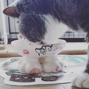 Może przedstawiać: Biała ceramiczna miska na karmę dla kota z r&oacute;żowymi odciskami łapek i napisem "Suki 21" na boku. Szary i biały kot je z miski.