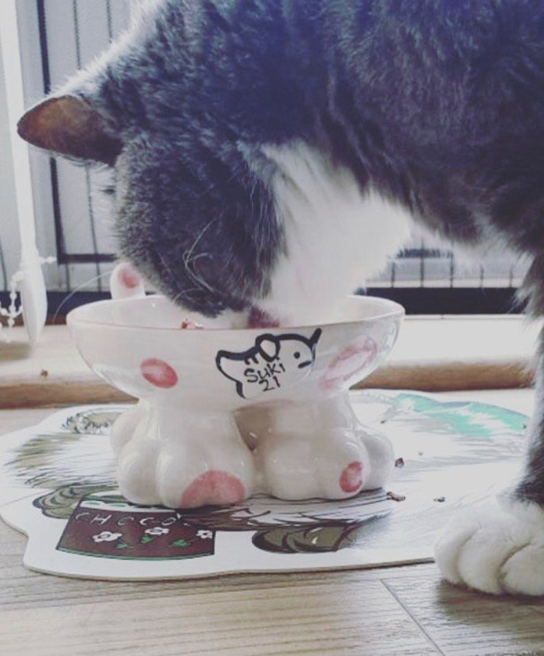 Może przedstawiać: Biała ceramiczna miska na karmę dla kota z r&oacute;żowymi odciskami łapek i napisem "Suki 21" na boku. Szary i biały kot je z miski.