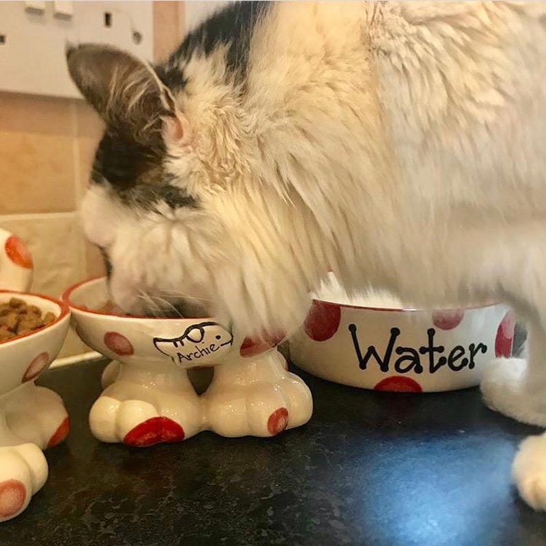 personalised cat bowl, cat bowl, cat bowl with name, cat bowl ceramic, personalised cat gift, raised cat bowl, elevated cat bowl, cat dish zdjęcie 9