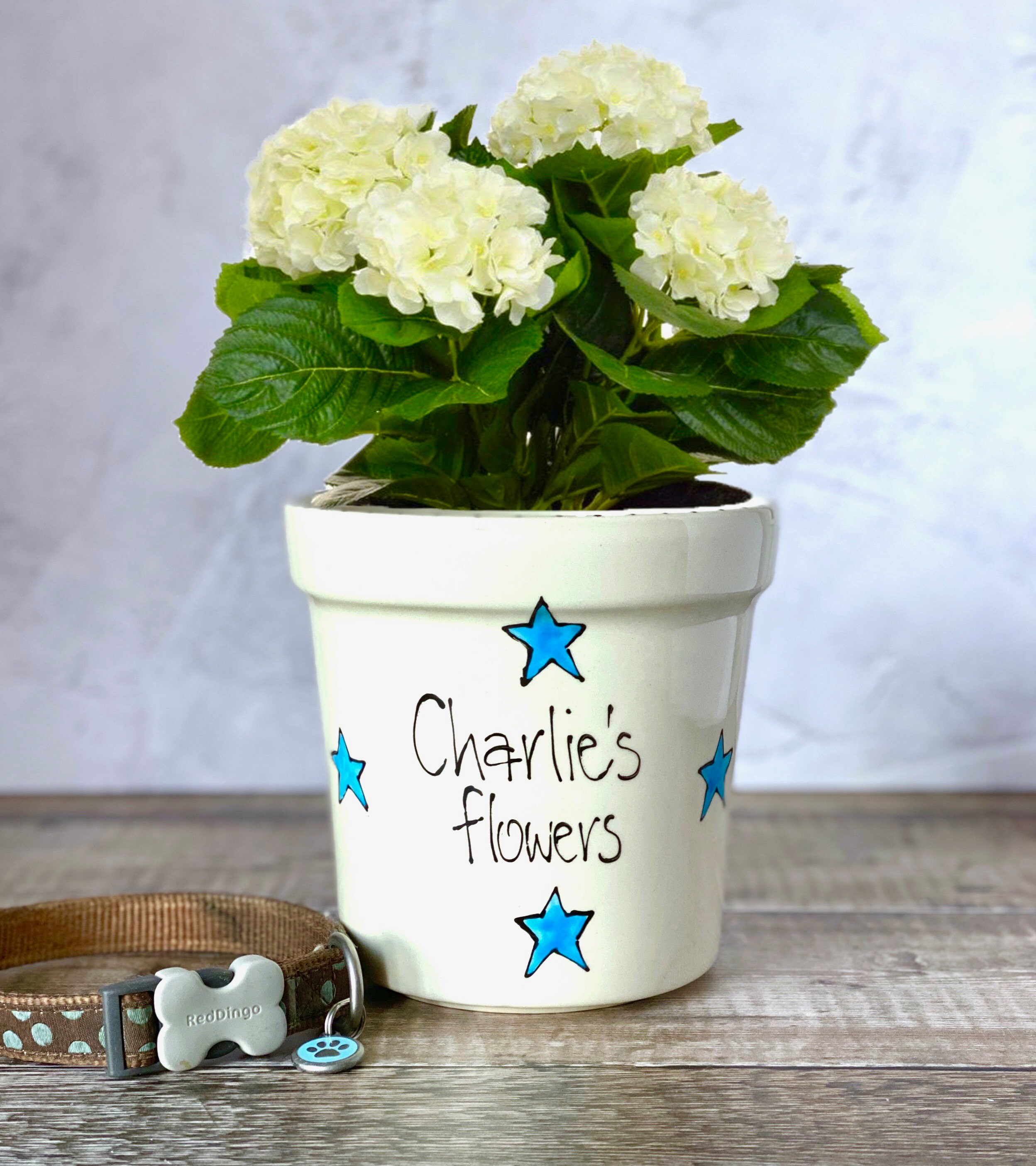 Pet Memorial Pot Personalised Ceramic Dog Memorial Plant Pot Etsy