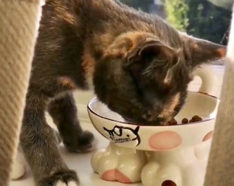 Personalised Hand-Painted Elevated Cat Bowl, Ceramic Pet Feeder with Name Tag