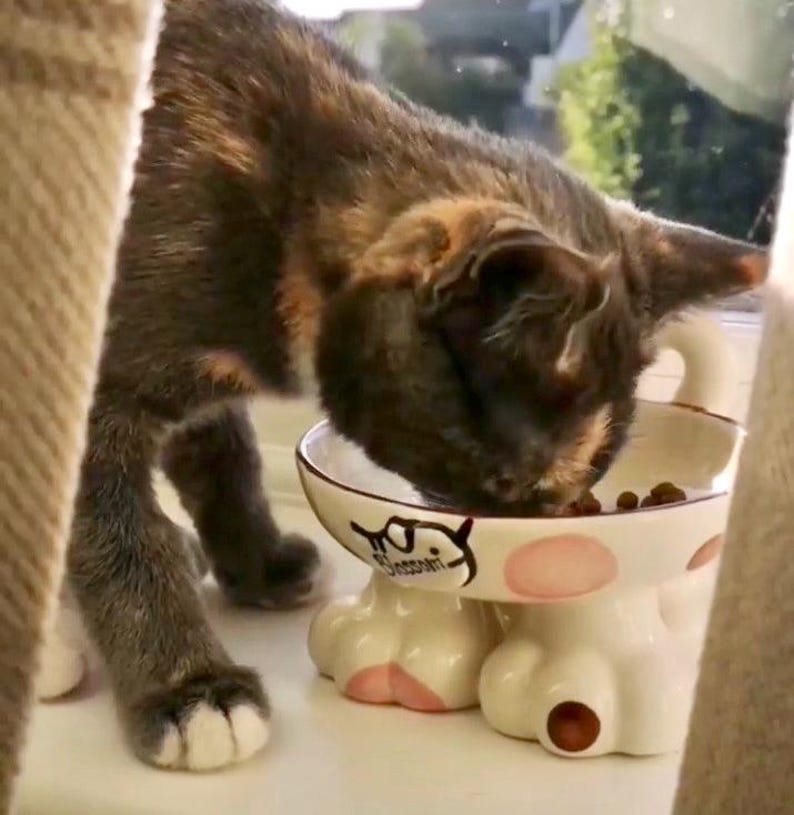 May include: A tortoiseshell cat with dark fur and orange patches eating from a white ceramic bowl. The bowl features a painted cat face design, pink polka dots, and is supported by four sculpted white cat paw feet with pink and brown paw pads.