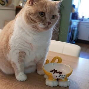 May include: A light orange and white cat sits on a wooden table next to a yellow ceramic cat-shaped food bowl with brown cat food inside. The bowl has a white paw print on the front and the word "Meowmeow" written in black.