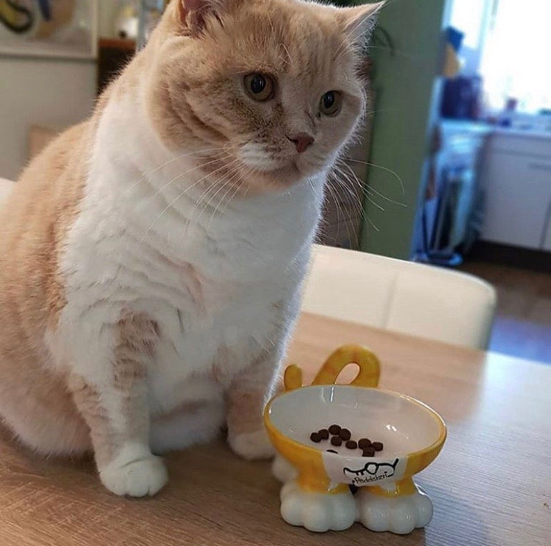 Elevated Cat Bowl Raised Cat Bowl Personalised Cat Bowl Cat Etsy