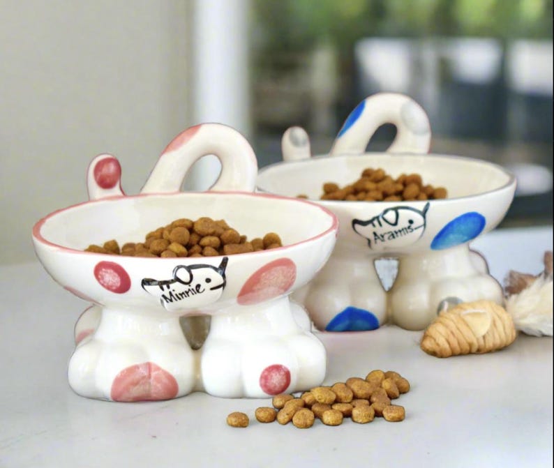 May include: Two ceramic pet bowls with raised paw-shaped bases and curved handles. The front bowl features pink spots and the name Minnie, while the back bowl has blue spots and the name Aramis. Both bowls are filled with brown dry pet food.