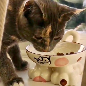 May include: A ceramic cat bowl featuring a cream-colored base with pink and brown spots, supported by four sculpted cat paw feet. The bowl has a small handle shaped like a cat tail and includes the text Blossom printed on the side, containing dry food.