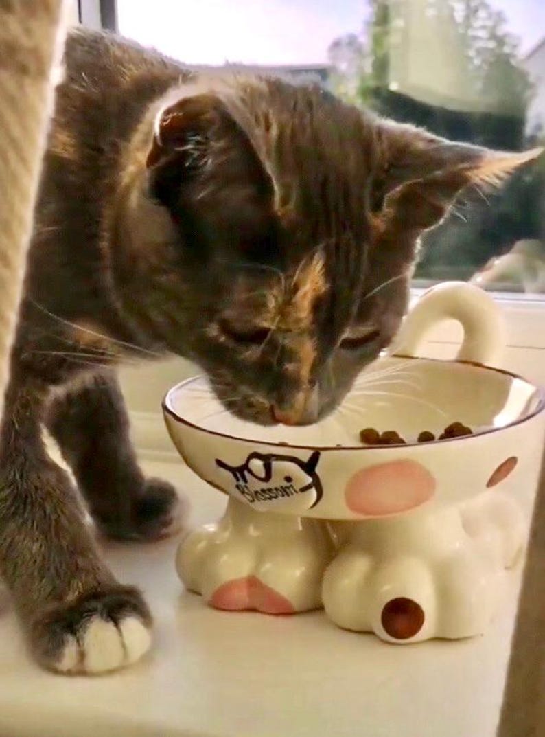 May include: A ceramic cat bowl featuring a cream-colored base with pink and brown spots, supported by four sculpted cat paw feet. The bowl has a small handle shaped like a cat tail and includes the text Blossom printed on the side, containing dry food.