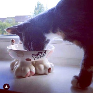 personalised cat bowl, cat bowl, cat bowl with name, cat bowl ceramic, personalised cat gift, raised cat bowl, elevated cat bowl, cat dish zdjęcie 1