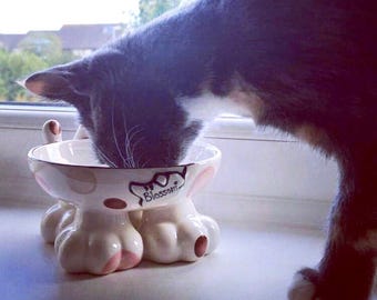 personalised cat bowl, cat bowl, cat bowl with name, cat bowl ceramic, personalised cat gift, raised cat bowl, elevated cat bowl, cat dish