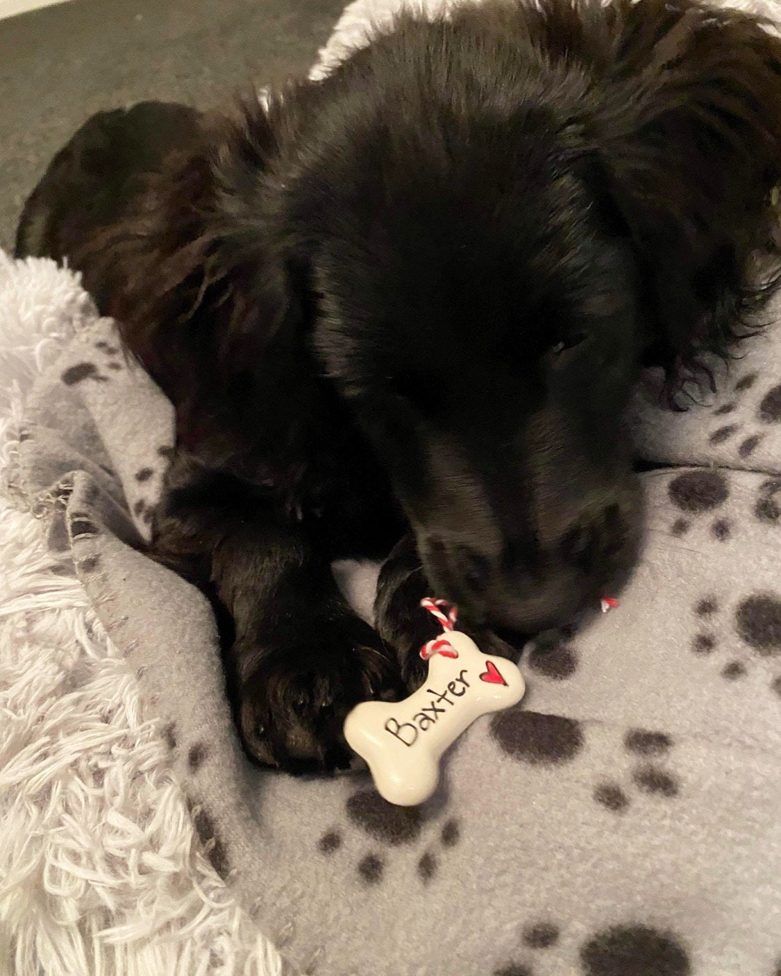 Dog Christmas decoration, personalised Christmas decoration, dog bone hanging decoration, personalised ceramic bone, gift for dogs, Xmas dog