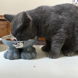 May include: A gray cat eating from a gray ceramic pet bowl with four legs shaped like paws. The bowl has a white fish design with the name "Alfie" written on it.