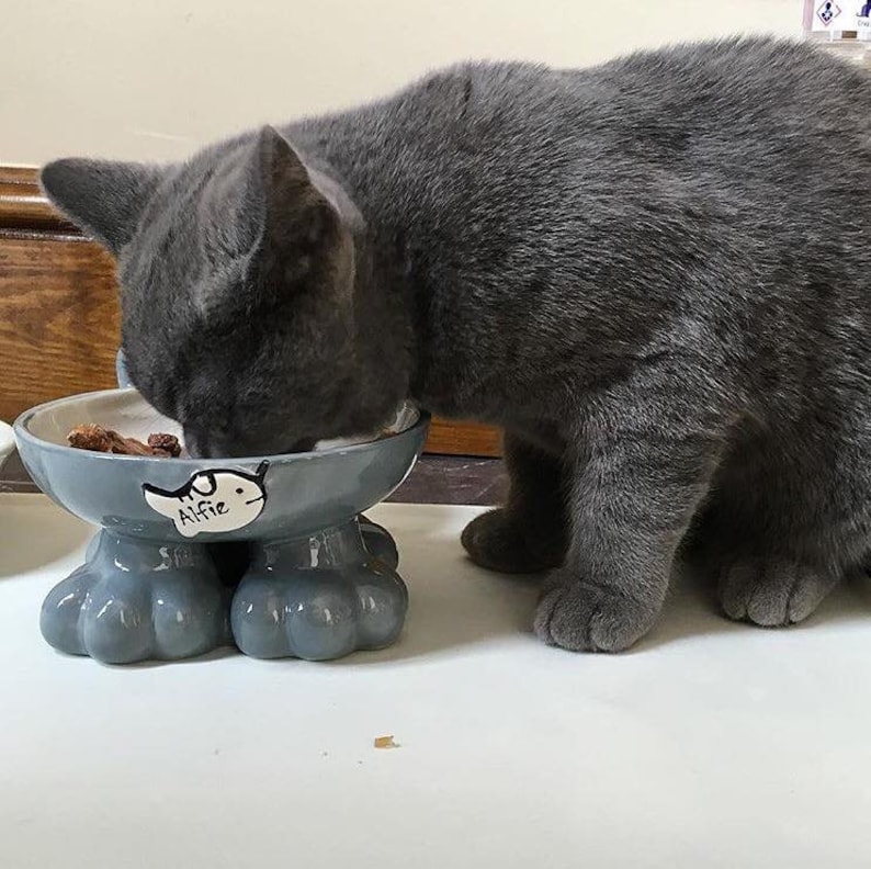 May include: A gray cat eating from a gray ceramic pet bowl with four legs shaped like paws. The bowl has a white fish design with the name "Alfie" written on it.