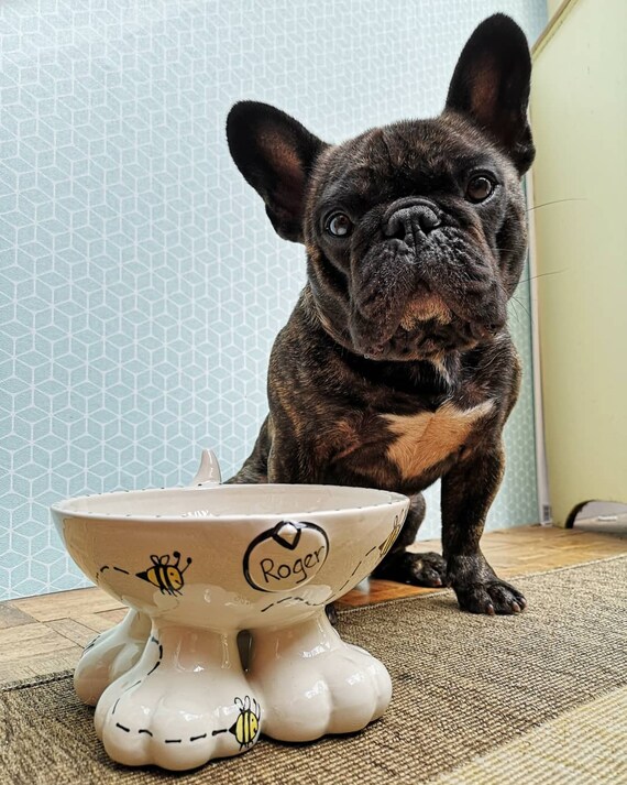 Elevated Dog Cat Bowls, Unique Bone Shape Bamboo Raised Dog Bowl