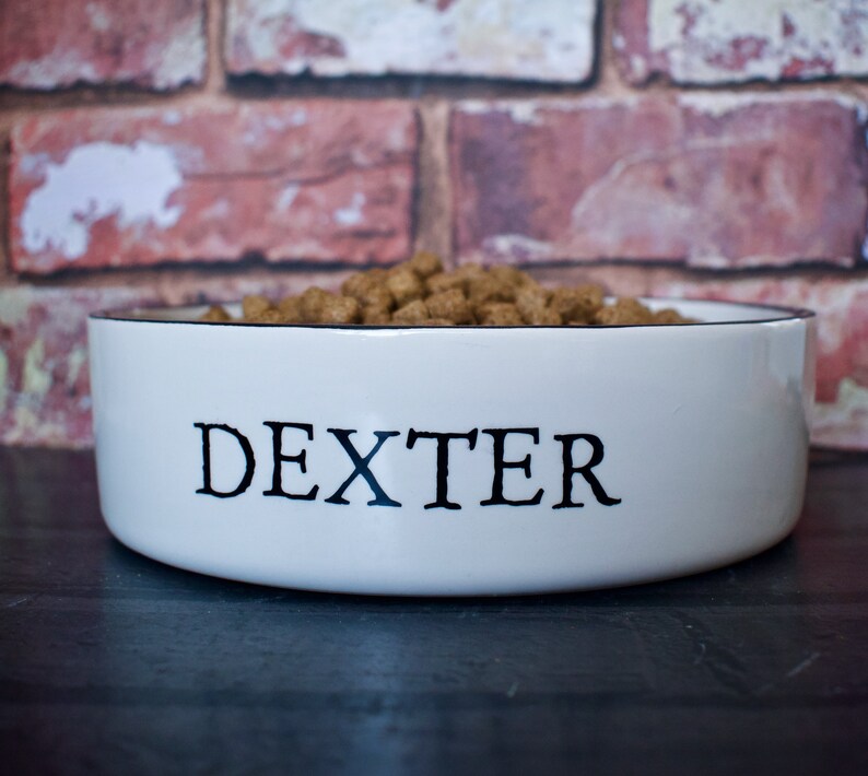 Small Dog Bowl Personalised Dog Bowl Ceramic Dog Bowl Cat Etsy