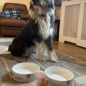 May include: Two white ceramic dog bowls with black paw prints and the name "Bonnie" written on them. The bowls are on a wooden mat with the name "Bonnie" written on it. A black and white dog is sitting behind the bowls.