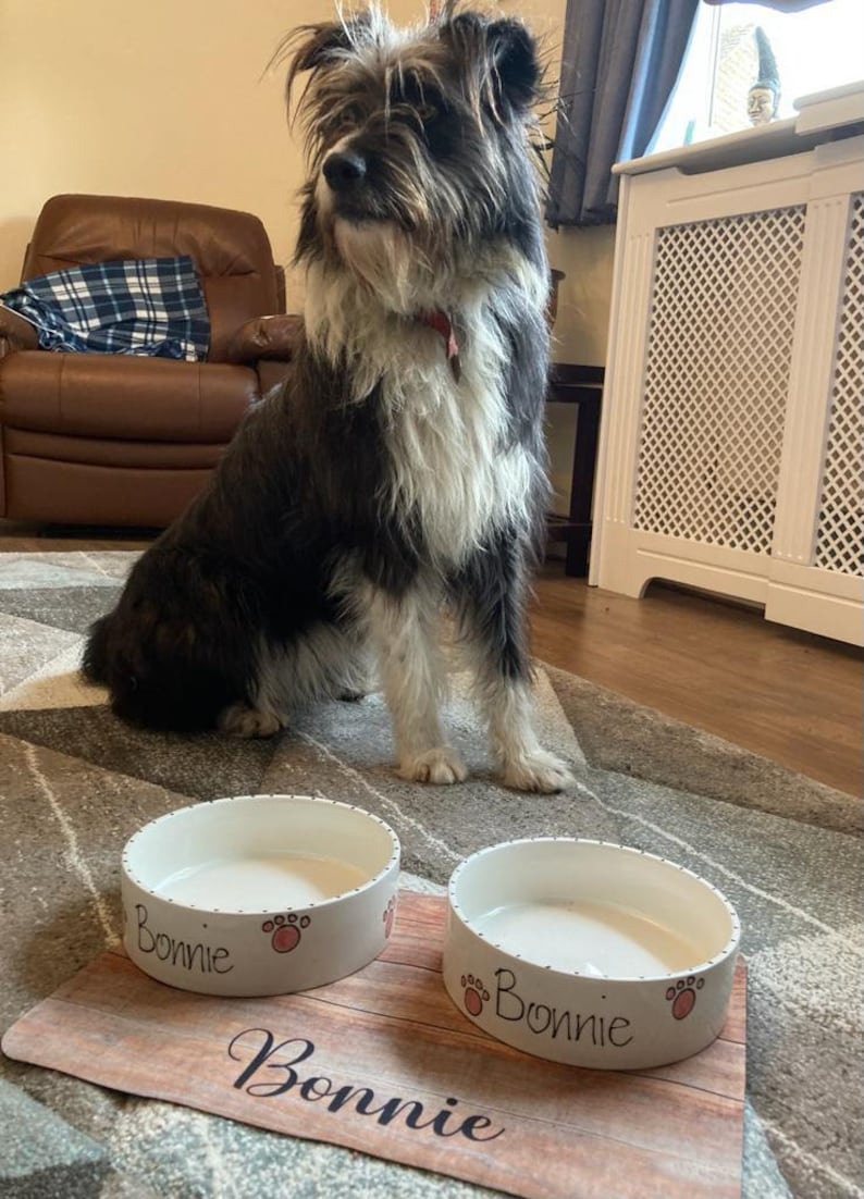 May include: Two white ceramic dog bowls with black paw prints and the name "Bonnie" written on them. The bowls are on a wooden mat with the name "Bonnie" written on it. A black and white dog is sitting behind the bowls.