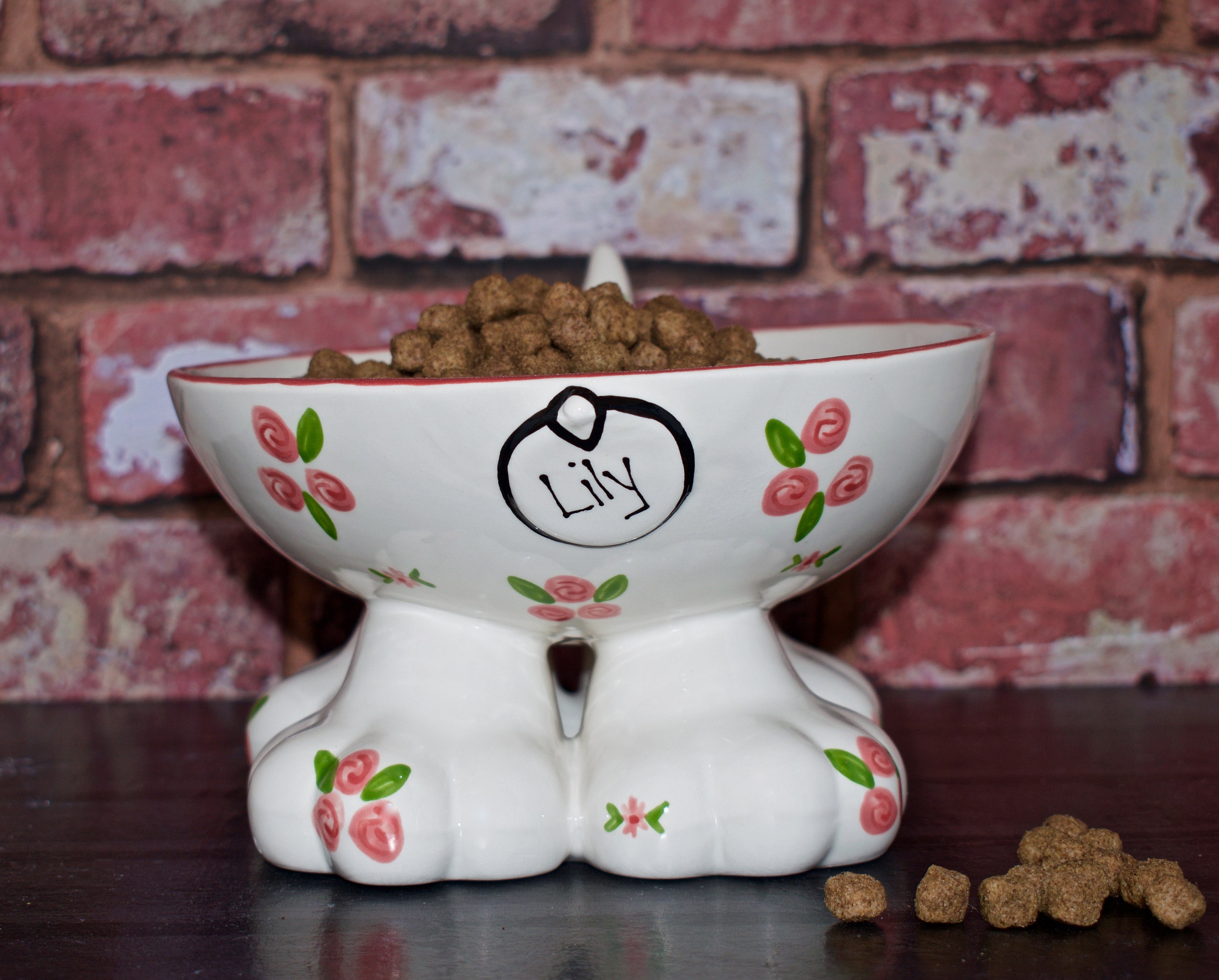 raised ceramic dog bowls