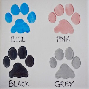 May include: Four paw prints painted in different colors: blue, pink, black, and gray. Each print is labeled with its corresponding color.