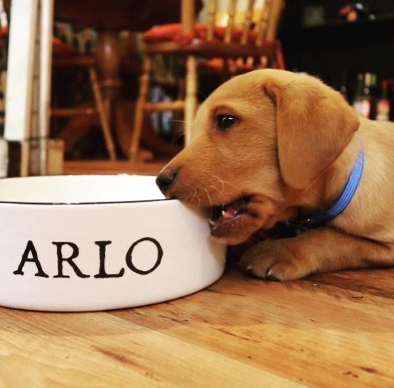 Small Dog Bowl Personalised Dog Bowl Ceramic Dog Bowl Cat Etsy